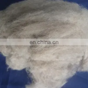Carded and Dehaired Raccoon Hair for Spinning thumbnail-4