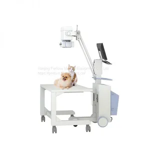VET1010 Digital Radiography DR X-ray System for Pets X-ray Hospital Machines Digital x Ray Machine thumbnail-1