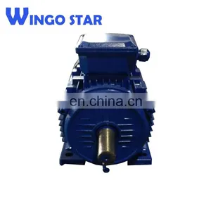 Single Phase & Three Phase AC Motor Electric Motor Belt Conveyor thumbnail-4