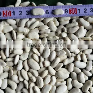 Flat White Kidney Beans thumbnail-1