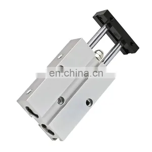Pneumatic Cylinder 20mm TN Typ Bore 10/15/20/25/30/35/40/45/50/60/70/75/80/90/100/125/150mm Stroke Double Rod Air Cylinder thumbnail-1