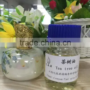Tea Tree Oil thumbnail-1