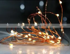 Led Copper Wire Lights thumbnail-1