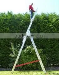 12 Rung Combi All-In-One Extension Ladder, Step Ladder & Free Standing Ladder thumbnail-1