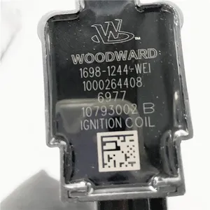 Brand New Great Price 1000264408 For Weichai Engine thumbnail-5