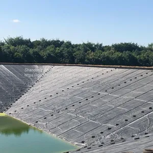 Reservoir Hdpe Geomembrane Liner 1.0mm Thick 8m Wide thumbnail-1