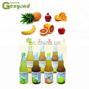 Kiwi Fruit Vinegar Liquid State Fermentation Production Line thumbnail-1