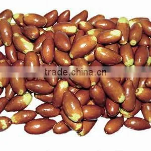 Cherry Tomato Grading Machine/Tomato Grading Machine thumbnail-6