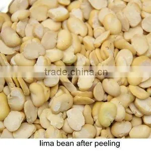 High Quality Bean Skin Peeling Machine/soybean Skin Removing Machine for Sale thumbnail-3