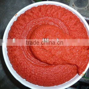 Easy Open and Normal Lid Canned Tomato Paste Brix 28-30 thumbnail-1