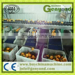 Fruit Accurate Weight Grading Machine thumbnail-1