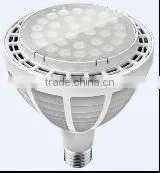 PAR38 60W LED Spotlight thumbnail-1