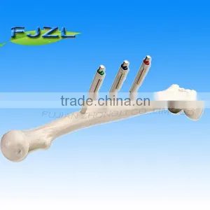 Femur Pen Holder thumbnail-1