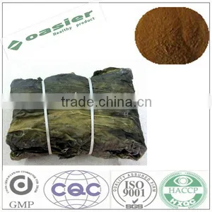Natural GMP Hot Sale Polysaccharide10% Kelp Extract Price thumbnail-1