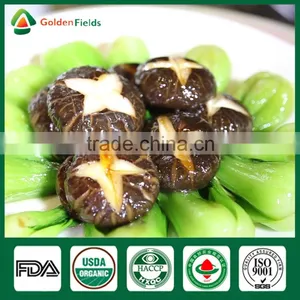 Mushroom Seller Agricultural Products Vegeatable Fresh Dried Shiitake Mushroom Log Shiitake Mushroom Spawn for Mushroom Farm thumbnail-1