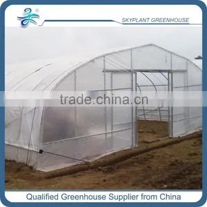 Cheap Single Span Plastic Greenhouse for Agriculture thumbnail-2