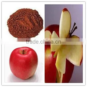 Apple Polyphenol 20%-80% thumbnail-1