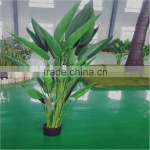 Artificial Plant Water Beauty thumbnail-2