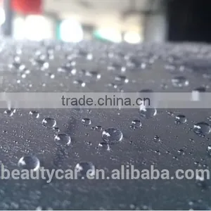 Car Care Car Detailing 9H Nano SIO2 Coating Nano Silica Coating thumbnail-5