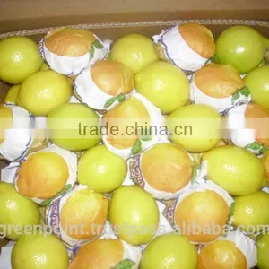 Lemon thumbnail-4