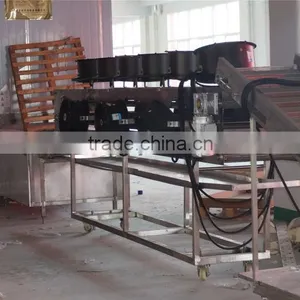 Automatic Falafel Processing Line thumbnail-6