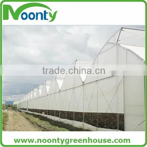 Tropical Greenhouse thumbnail-6