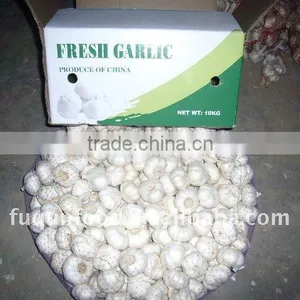 2012 Crop Normal White Garlic in Carton Packing thumbnail-1