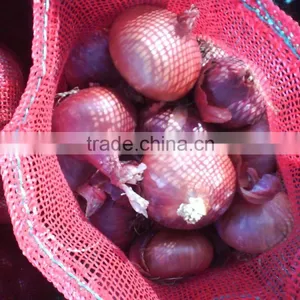 Fresh Red Onion thumbnail-1