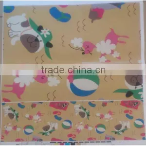 PVC Sheet for Raincoat Plastic Raincoat thumbnail-1