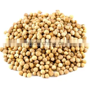 Indian High Grade Fresh Wholesale Dried Coriander Seed thumbnail-4