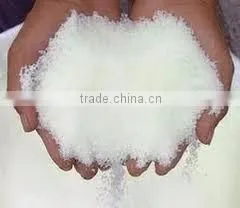 Regular White Sugar thumbnail-1