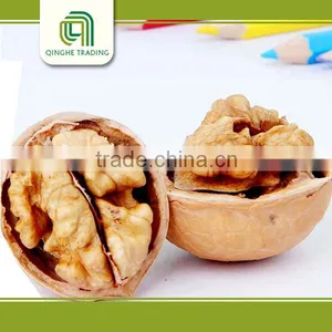 Light Amber Pieces Walnut Kernels Market Price thumbnail-1