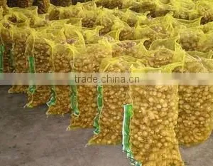 2016 Chinese Fresh Ginger for Hot Selling thumbnail-5