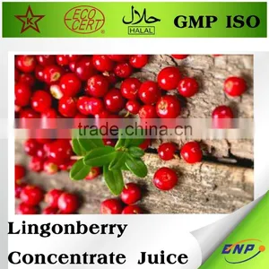 Lingonberry Concentrate Bulk Fruit Juice thumbnail-2