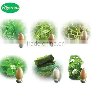 Qingdao BNP Suplies 100% Natural 95% Organic Natural Inulin/synanthrin From Jerusalem Artichoke Dietary Fiber Inulin Powder thumbnail-1