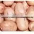 Peanut thumbnail-1