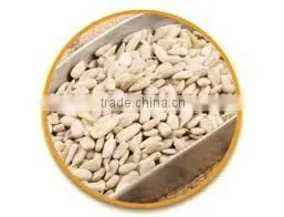 Sunflower Kernels With Good Price Bakery Type Sunflower Seeds thumbnail-1