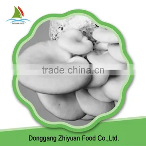 Cut Frozen Oyster Mushroom thumbnail-1