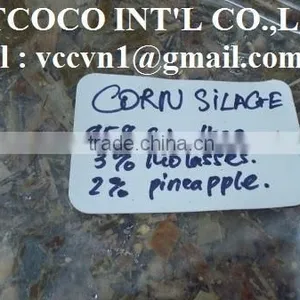 Corn Silage thumbnail-3