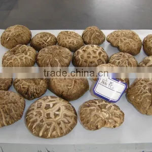 Dried Flower Mushroom Brown thumbnail-1