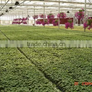 Build Your Own Greenhouse thumbnail-3