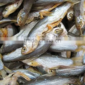 Reliable Commercial Fish Dehydrator Machine thumbnail-1