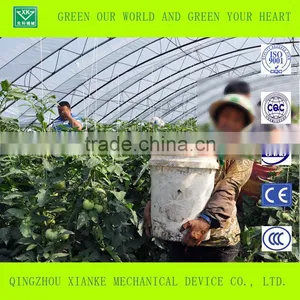 Advanced Agricultural Greenhouse for Vegetable thumbnail-3