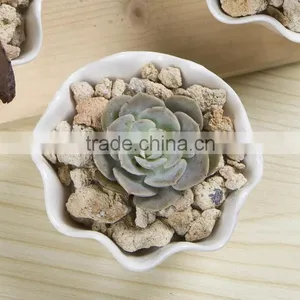 Creative Zakka White Ceramic Indoor Planters for Succulents thumbnail-3