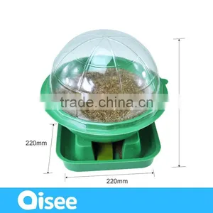 Temperate Climate and Indoor Plants Use Greenhouse thumbnail-4