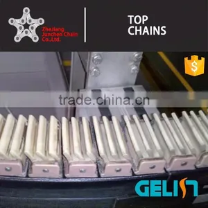 G4 Vertical Lifting Clamp Conveyor Chains for Bottles/snap-on Side Flexing Chain/gripper Conveyor Chain thumbnail-4