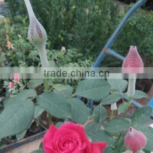 Packing Material Rose Bud EPE Net thumbnail-2