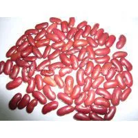 DARK RED KIDNEY BEANS thumbnail-1