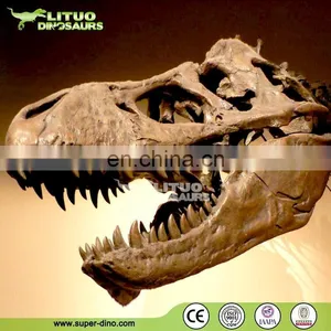 Trade Assurace High Simulation Museum T REX Skull thumbnail-1