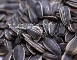 Sunflower Seeds for Human Consumption thumbnail-1